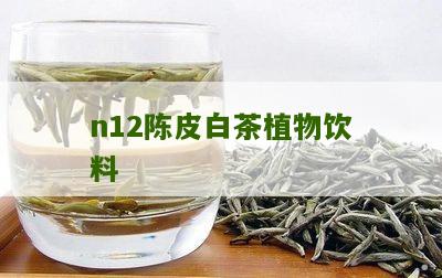 n12陈皮白茶植物饮料