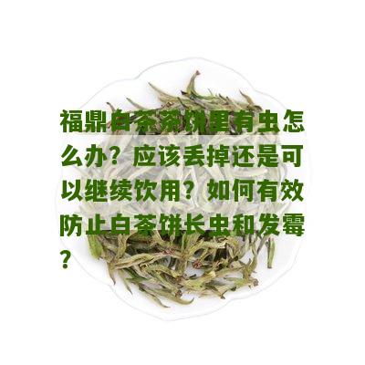 福鼎白茶茶饼里有虫怎么办？应该丢掉还是可以继续饮用？如何有效防止白茶饼长虫和发霉？