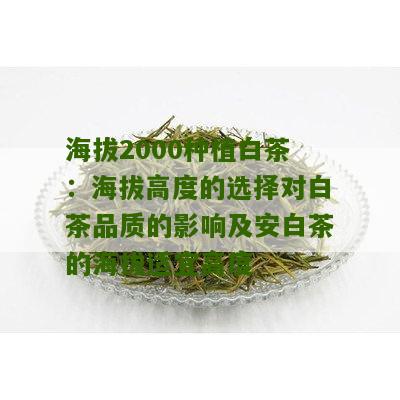 海拔2000种植白茶：海拔高度的选择对白茶品质的影响及安白茶的海拔适宜高度