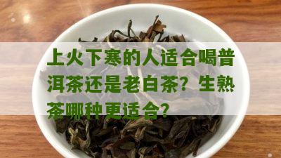 上火下寒的人适合喝普洱茶还是老白茶？生熟茶哪种更适合？