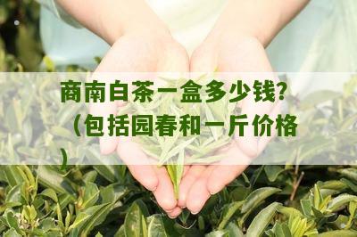 商南白茶一盒多少钱？（包括园春和一斤价格）