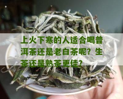 上火下寒的人适合喝普洱茶还是老白茶呢？生茶还是熟茶更佳？