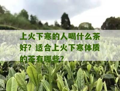 上火下寒的人喝什么茶好？适合上火下寒体质的茶有哪些？