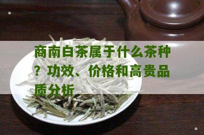 商南白茶属于什么茶种？功效、价格和高贵品质分析