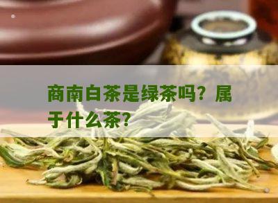 商南白茶是绿茶吗？属于什么茶？