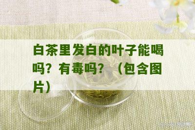 白茶里发白的叶子能喝吗？有毒吗？（包含图片）