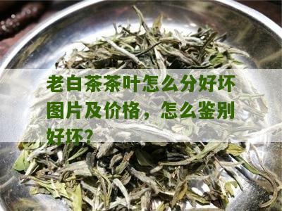 老白茶茶叶怎么分好坏图片及价格，怎么鉴别好坏？