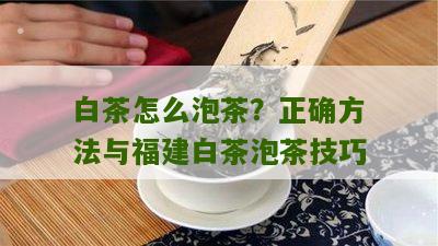 白茶怎么泡茶？正确方法与福建白茶泡茶技巧