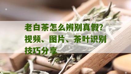 老白茶怎么辨别真假？视频、图片、茶叶识别技巧分享