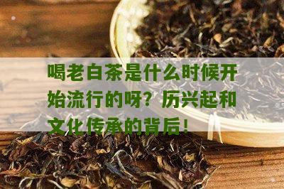 喝老白茶是什么时候开始流行的呀？历兴起和文化传承的背后！