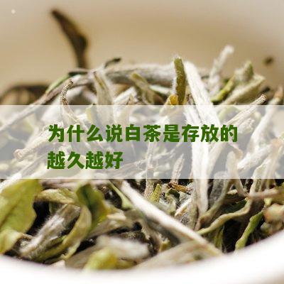 为什么说白茶是存放的越久越好