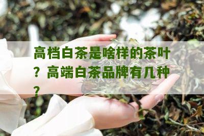 高档白茶是啥样的茶叶？高端白茶品牌有几种？