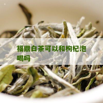 福鼎白茶可以和枸杞泡喝吗