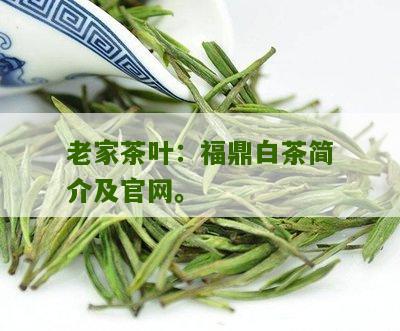 老家茶叶：福鼎白茶简介及官网。