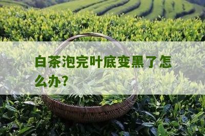 白茶泡完叶底变黑了怎么办？