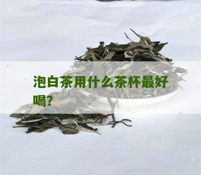 泡白茶用什么茶杯最好喝？