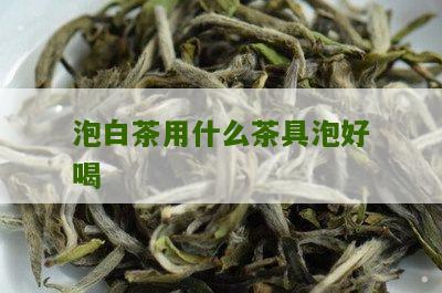 泡白茶用什么茶具泡好喝