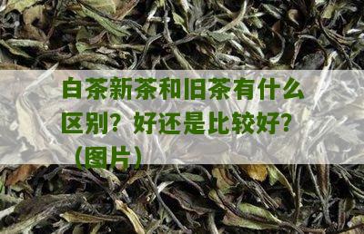 白茶新茶和旧茶有什么区别？好还是比较好？（图片）