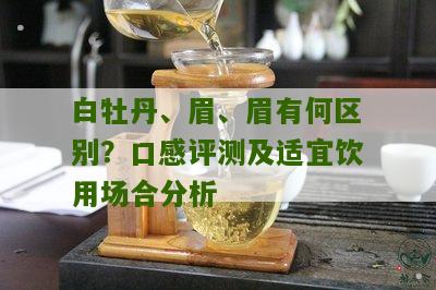 白牡丹、眉、眉有何区别？口感评测及适宜饮用场合分析