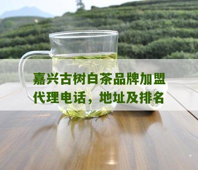 嘉兴古树白茶品牌加盟代理电话，地址及排名