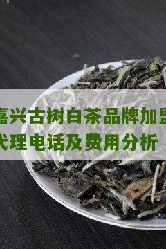 嘉兴古树白茶品牌加盟代理电话及费用分析