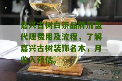 嘉兴古树白茶品牌加盟代理费用及流程，了解嘉兴古树装饰名木，月收入预估。