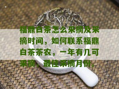 福鼎白茶怎么采摘及采摘时间，如何联系福鼎白茶茶农，一年有几可采摘，最佳采摘月份。