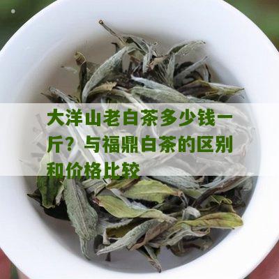 大洋山老白茶多少钱一斤？与福鼎白茶的区别和价格比较