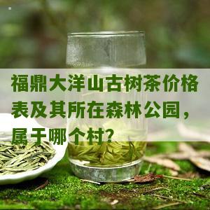 福鼎大洋山古树茶价格表及其所在森林公园，属于哪个村？