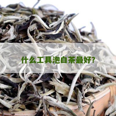 什么工具泡白茶最好？