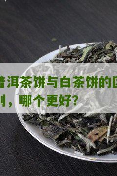 普洱茶饼与白茶饼的区别，哪个更好？