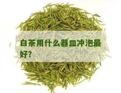 白茶用什么器皿冲泡最好？