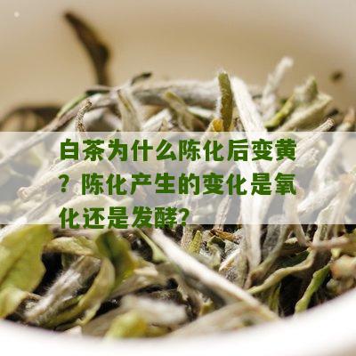 白茶为什么陈化后变黄？陈化产生的变化是氧化还是发酵？