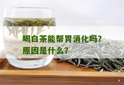 喝白茶能帮胃消化吗？原因是什么？