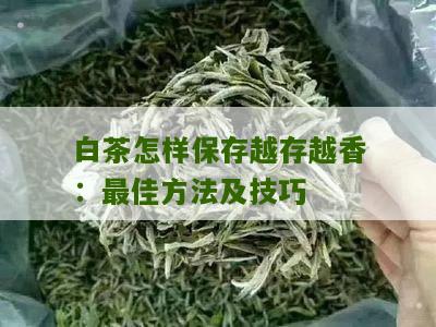 白茶怎样保存越存越香：最佳方法及技巧