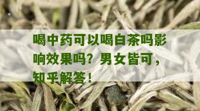 喝中药可以喝白茶吗影响效果吗？男女皆可，知乎解答！