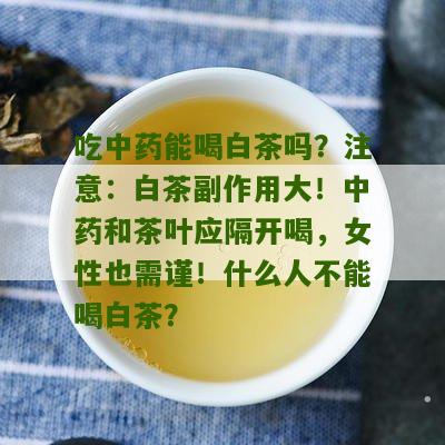 吃中药能喝白茶吗？注意：白茶副作用大！中药和茶叶应隔开喝，女性也需谨！什么人不能喝白茶？