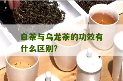 白茶与乌龙茶的功效有什么区别？