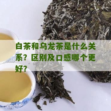 白茶和乌龙茶是什么关系？区别及口感哪个更好？