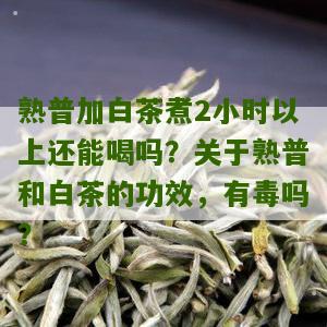 熟普加白茶煮2小时以上还能喝吗？关于熟普和白茶的功效，有毒吗？