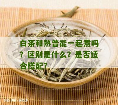 白茶和熟普能一起煮吗？区别是什么？是否适合搭配？