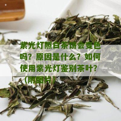 紫光灯照白茶饼会变色吗？原因是什么？如何使用紫光灯鉴别茶叶？（附图片）