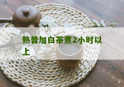 熟普加白茶煮2小时以上