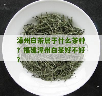 漳州白茶属于什么茶种？福建漳州白茶好不好？