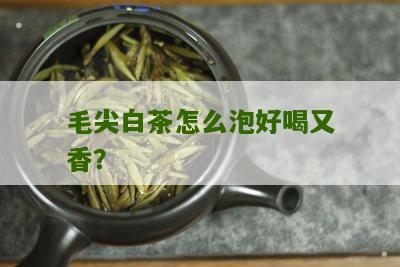 毛尖白茶怎么泡好喝又香？