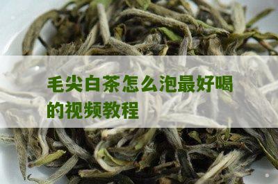 毛尖白茶怎么泡最好喝的视频教程