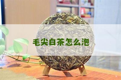 毛尖白茶怎么泡