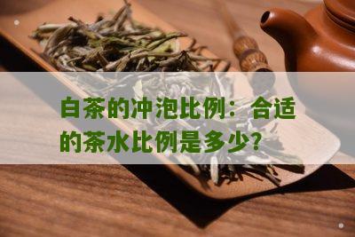 白茶的冲泡比例：合适的茶水比例是多少？