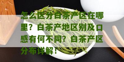 怎么区分白茶产区在哪里？白茶产地区别及口感有何不同？白茶产区分布详解！