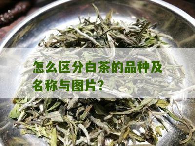 怎么区分白茶的品种及名称与图片？